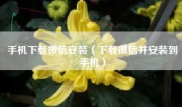 手机下载微信安装（下载微信并安装到手机）