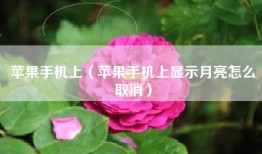 苹果手机上（苹果手机上显示月亮怎么取消）