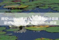 同安SolidWorks培训 Cimtrion模具设计培训 漳州SolidWorks培训 海沧SolidWorks培训