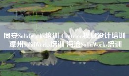 同安SolidWorks培训 Cimtrion模具设计培训 漳州SolidWorks培训 海沧SolidWorks培训
