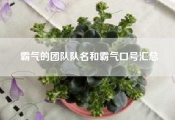 霸气的团队队名和霸气口号汇总