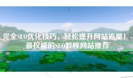 完全SEO优化技巧，轻松提升网站流量！-最权威的SEO教程网站推荐
