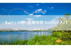 WinUI 2 (UWP) 应用中的 WebView2 入门