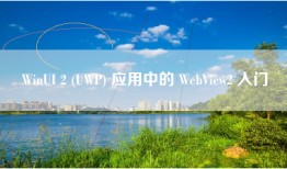 WinUI 2 (UWP) 应用中的 WebView2 入门
