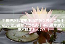 手机进水后充电不稳定怎么办？苹果手机充电口进水了怎么办「手机进水后充电不稳定怎么办？」
