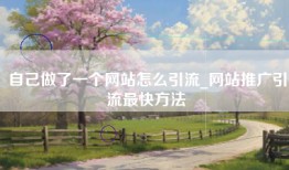 自己做了一个网站怎么引流_网站推广引流最快方法