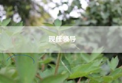 现任领导