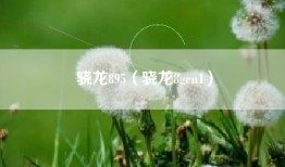 骁龙895（骁龙8gen1）