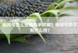 视频号怎么设置助手权限？视频号助手有什么用？