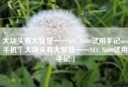 大块头有大智慧——NEC N600试用手记nec手机「大块头有大智慧——NEC N600试用手记」