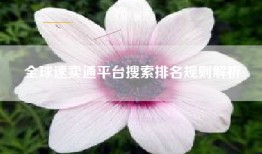 全球速卖通平台搜索排名规则解析