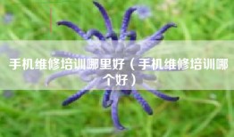 手机维修培训哪里好（手机维修培训哪个好）