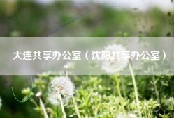 大连共享办公室（沈阳共享办公室）
