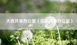 大连共享办公室（沈阳共享办公室）