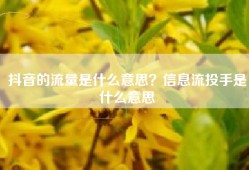 抖音的流量是什么意思？信息流投手是什么意思