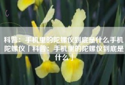 科普：手机里的陀螺仪到底是什么手机陀螺仪「科普：手机里的陀螺仪到底是什么」