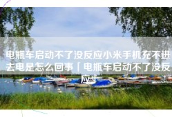 电瓶车启动不了没反应小米手机充不进去电是怎么回事「电瓶车启动不了没反应」
