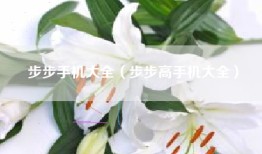 步步手机大全（步步高手机大全）