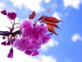 娓歌之旅：太原琛岀四川宸濊风光深度游攻略