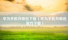 华为手机升级包下载（华为手机升级包官方下载）