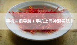 手机冲浪导航（手机上网冲浪导航）