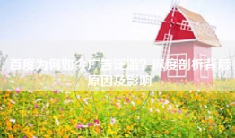 百度为何如今广告泛滥？深度剖析背后原因及影响