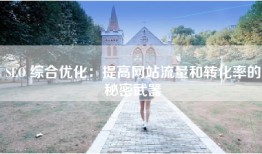 SEO 综合优化：提高网站流量和转化率的秘密武器