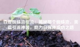 百度蜘蛛池引流：揭秘那个蜘蛛池，美篇引流神器，助力自媒体成功之路