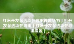 红米开发者选项在哪里设置华为手机开发者选项在哪里「红米开发者选项在哪里设置」