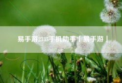 易手游2345手机助手「易手游」