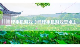 网球手机游戏（网球手机游戏安卓）