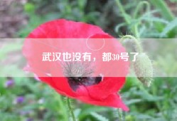 武汉也没有，都30号了