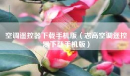 空调遥控器下载手机版（志高空调遥控器下载手机版）