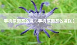 手机原图怎么发（手机原图怎么发送）