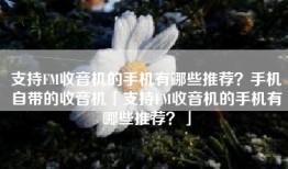 支持FM收音机的手机有哪些推荐？手机自带的收音机「支持FM收音机的手机有哪些推荐？」