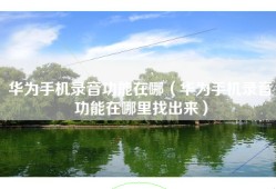 华为手机录音功能在哪（华为手机录音功能在哪里找出来）