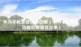 华为手机录音功能在哪（华为手机录音功能在哪里找出来）