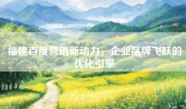 福建百度营销新动力，企业品牌飞跃的优化引擎