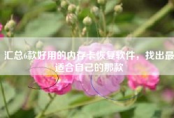 汇总6款好用的内存卡恢复软件，找出最适合自己的那款