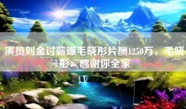 演员刘金讨薪曝毛晓彤片酬1250万，毛晓彤：感谢你全家