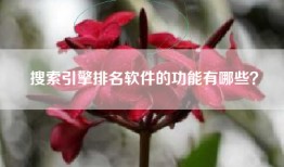 搜索引擎排名软件的功能有哪些？