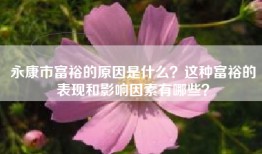 永康市富裕的原因是什么？这种富裕的表现和影响因素有哪些？