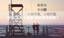 战狼2手机（战狼2手机免费观看）