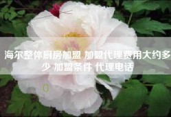海尔整体厨房加盟 加盟代理费用大约多少 加盟条件 代理电话