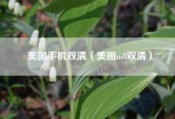 美图手机双清（美图m8双清）