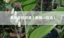 美图手机双清（美图m8双清）