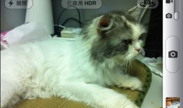 堪比iPhone 4拍照效果 HDR与TrueHDR对比苹果手机的使用方法「堪比iPhone 4拍照效果 HDR与TrueHDR对比」