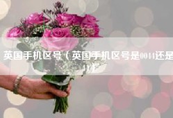 英国手机区号（英国手机区号是0044还是44）