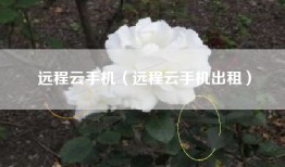 远程云手机（远程云手机出租）
