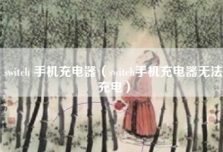 switch 手机充电器（switch手机充电器无法充电）
